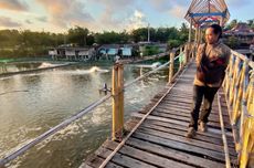 Obyek Wisata Mangrove Jembatan Api-api Kulon Progo Rusak, Tak Bangkit Pasca-Covid-19