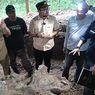 Pernah Jadi Asisten Lab Paleontologi UGM, Wabup Nganjuk Tinjau Langsung Ekskavasi Fosil Gajah Purba