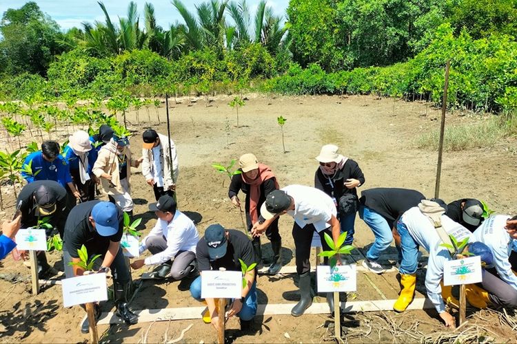 Sejumlah jenis pepohonan yang ditanam ASTRA Infra di sekitar ruas tol memiliki beragam fungsi ekologis yang bermanfaat, khususnya dalam mendukung penurunan emisi karbon. 