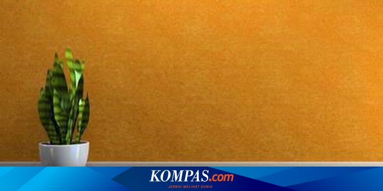 Catat 8 Jenis Tanaman Bermanfaat Di Rumah Halaman All Kompas Com