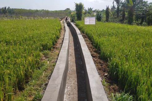 Indeks Pertanaman Petani Bengkulu Utara Naik Berkat RJIT Kementan