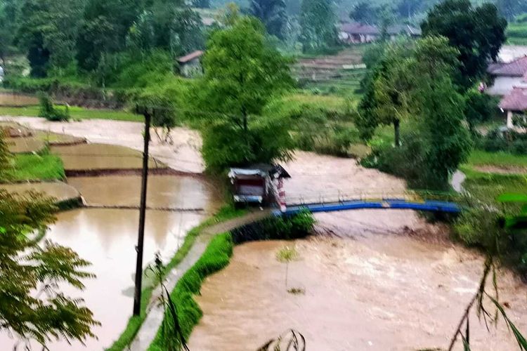 Puluhan hektar lahan persawahan di Desa Gununghalu, Bandung Barat tersapu banjir luapan sungai Cidadap.