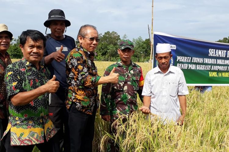 Direktur Perbenihan Tanaman Pangan Takdir Mulyadi saat melakukan kunjungan lapangan Mataram, Nusa Tenggara Barat (NTB)
