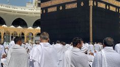 Apa Itu Rafats, Fusuk, dan Jidal? Ini Larangan Penting saat Haji