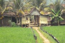 Pupuk Kembali Langka di Semarang, Petani Khawatir Gagal Panen