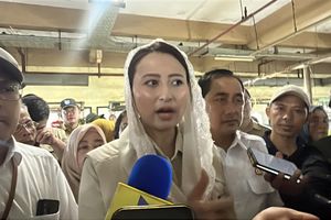 Wamendag Sebut Kenaikan Bahan Pangan Masih dalam Batas Wajar