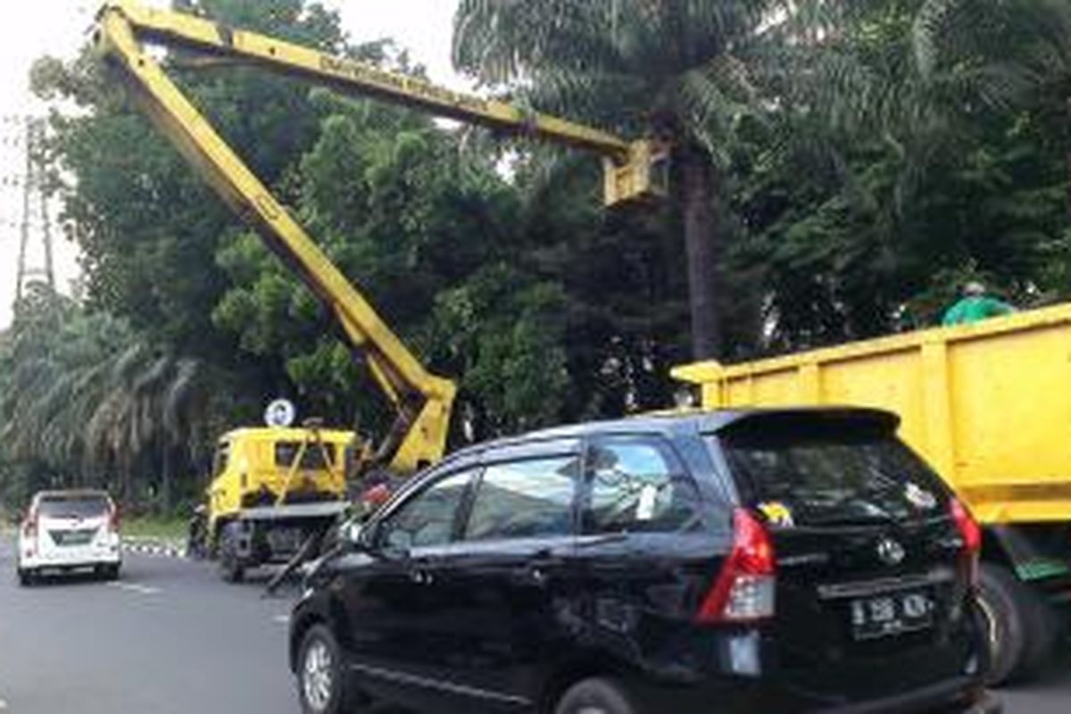 Dinas Pertamanan dan Pemakaman DKI Jakarta memangkas sejumlah pohon di beberapa titik di Jakarta, Minggu (14/12/2014).