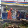 Hujan dan Angin Kencang di Bandar Lampung, Pohon Tumbang Timpa Mobil dan Motor
