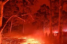 Kebakaran Hutan, Warga Perth Bingung Antara Keluar Rumah atau Jalankan Lockdown