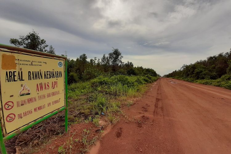 Jalan tambang PT Laman Mining yang dituding memutus koridor orangutan.
