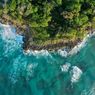 Suhu Laut Naik, Kemampuan Padang Lamun Menyimpan Karbon Alami Merosot