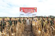 Anggaran Ketahanan Pangan Rp 124,4 Triliun, untuk 'Food Estate' hingga Cetak Sawah