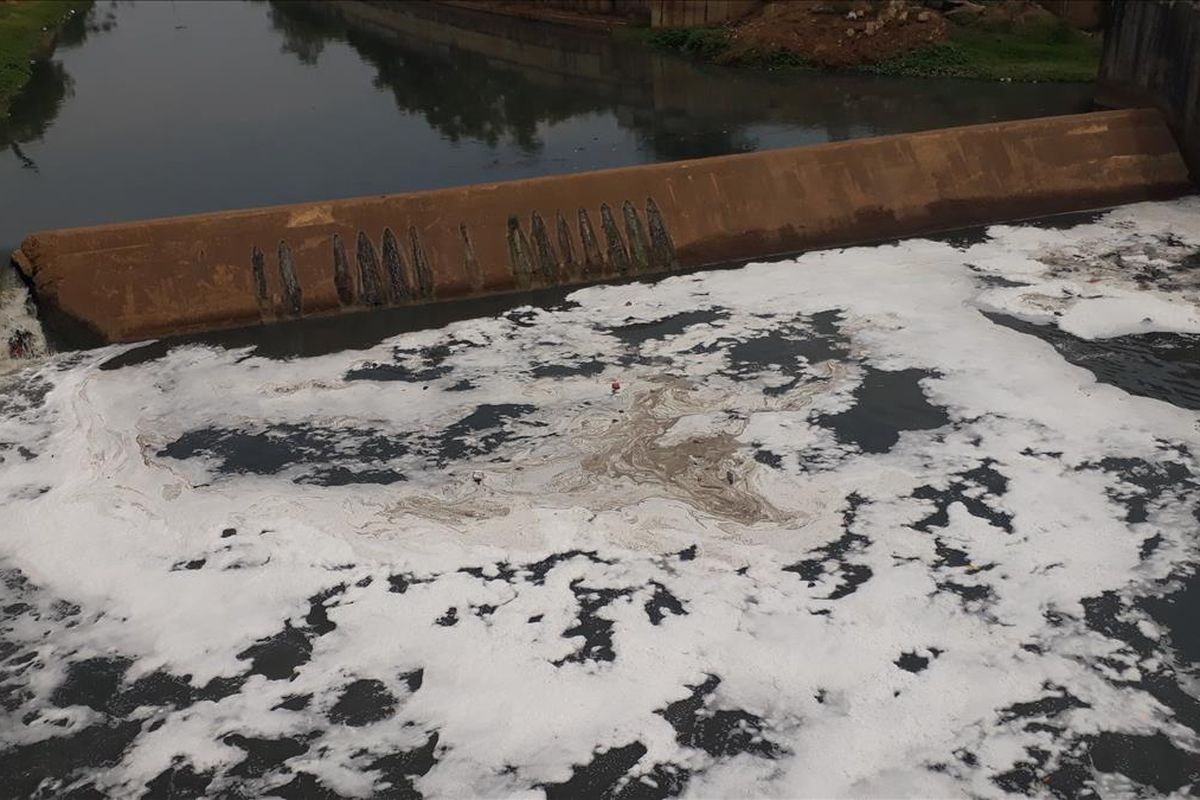 Busa Putih Muncul di Banjir Kanal Timur, Jatinegara, Jakarta Timur, Rabu (7/8/2019).