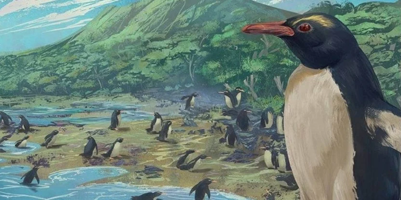 Peneliti menyebut jika semua penguin berasal dari nenek moyang yang tinggal di benua Zealandia.