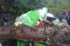 Minibus Ringsek Tertimpa Pohon Tumbang di Jalan Trans Flores, 5 Penumpang Luka-luka