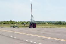 8 Sayuran yang Paling Mudah Ditanam di Dalam Rumah