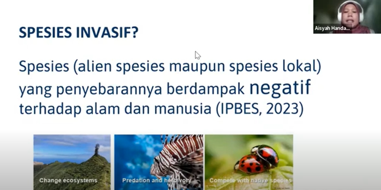 Peneliti Pusat Riset Ekologi dan Etnobiologi BRIN, Aisyah Handani memberikan materi dalam webinar Awasi dan Kenali Spesies Invasif Asing yang digelar Biodiversity Warriors, Jumat (17/5/2024). 