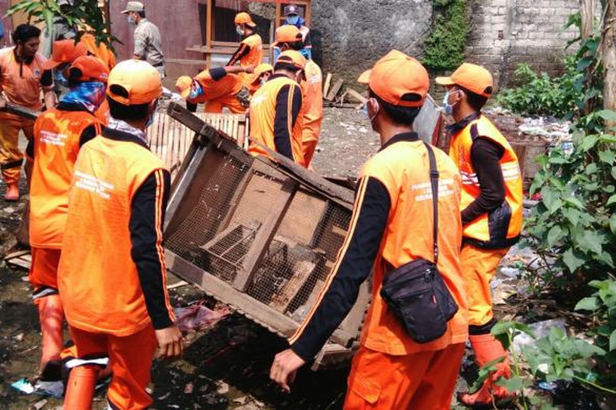 Kasus kematian mendadak sejumlah unggas jenis ayam milik warga terjadi di RT 04 RW 02 Kelurahan Rambutan, Kecamatan Ciracas, Jakarta Timur. Setelah dicek petugas pemerintah, ayam yang mati itu positif terkena flu burung. Rabu (1/6/2016)