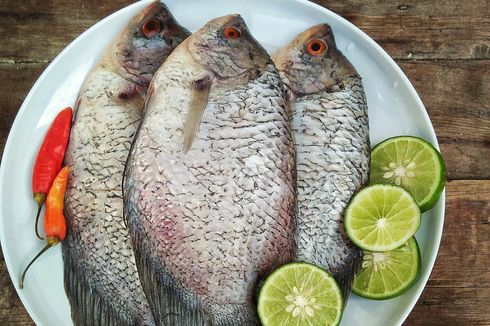 4 Cara Pilih Ikan Gurame Segar dan Daging Tebal