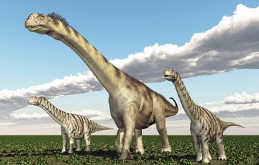 Ilustrasi Camarasaurus, salah satu dinosaurus berleher panjang.