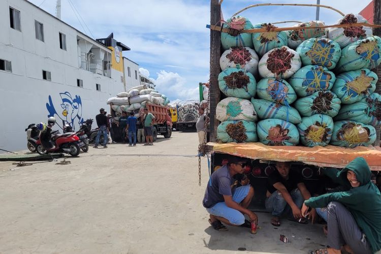 Antrean truk pengangkut rumput laut di dermaga Pelabuhan Tunon Taka Nunukan Kaltara. Sepekan terakhir terjadi kemacetan pengiriman rumput laut yang memicu protes puluhan pedagang