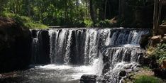 16 Wisata Air Terjun di Jember yang Wajib Dikunjungi