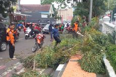 Tiga Pengendara Motor di Sukabumi Terjebak Ranting Dahan Pohon Tumbang 