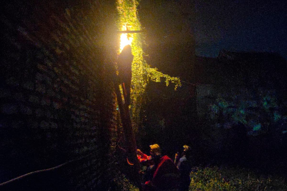 Petugas Damkae menaiki tangga dan memusnahkan sarang tawon vespa di Sumenep.