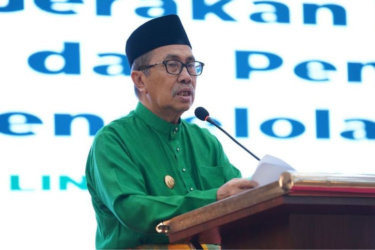 Gubernur Riau Syamsuar 