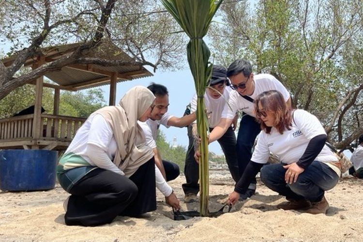 Cegah Abrasi di Pesisir Lamongan, Warga dan PT PAL Tanam Puluhan Pohon