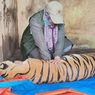 Menyoal Matinya 3 Harimau di Medan Zoo, Empat Lainnya Sakit Parah