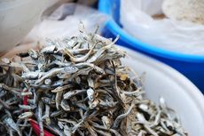 Apa Itu Niboshi? Ikan Teri Kering yang Jadi Kaldu Makanan Jepang
