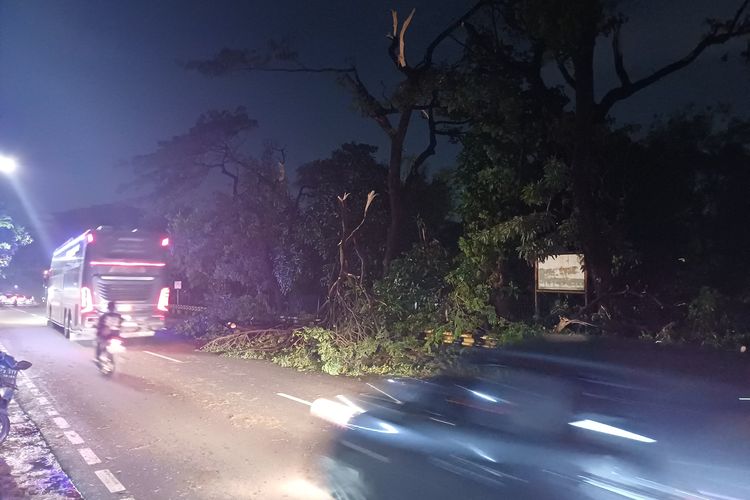 Pohon Tumbang Timpa 3 Mobil di Cipayung Jaktim