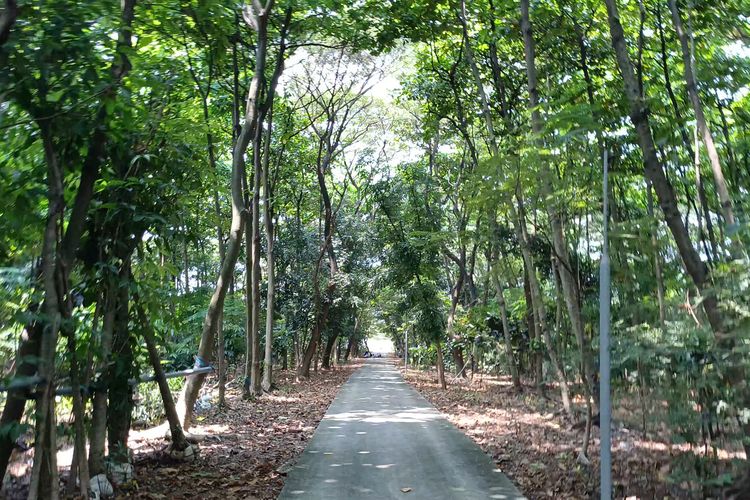 Lokasi Terpencil dan Jalan Rusak Bikin Hutan Kota Rawa Malang Jakut Sepi Pengunjung