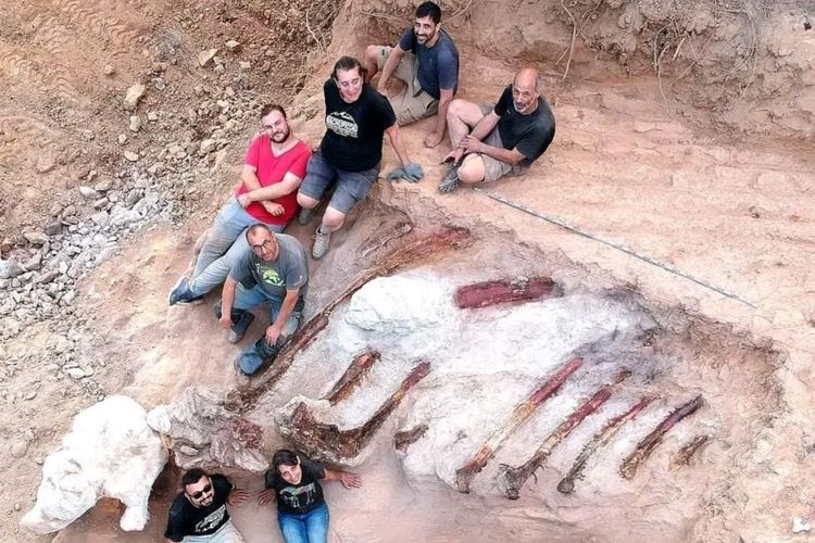 Kerangka fosil dinosaurus sepanjang 82 kaki yang hidup hingga 160 juta tahun yang lalu ditemukan di halaman belakang warga Portugal.
