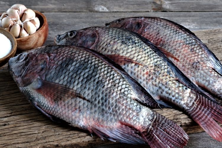 Ikan mujair termasuk ikan lokal yang bisa dijaidkan pilihan MPASI anak