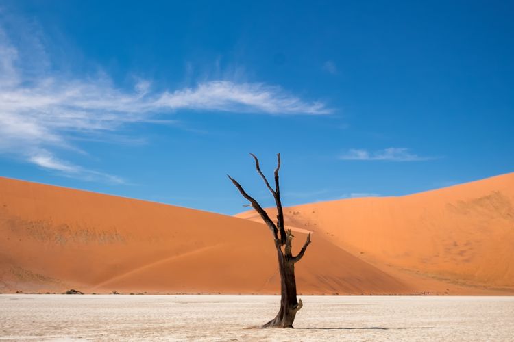 ilustrasi Tahun Duka Cita