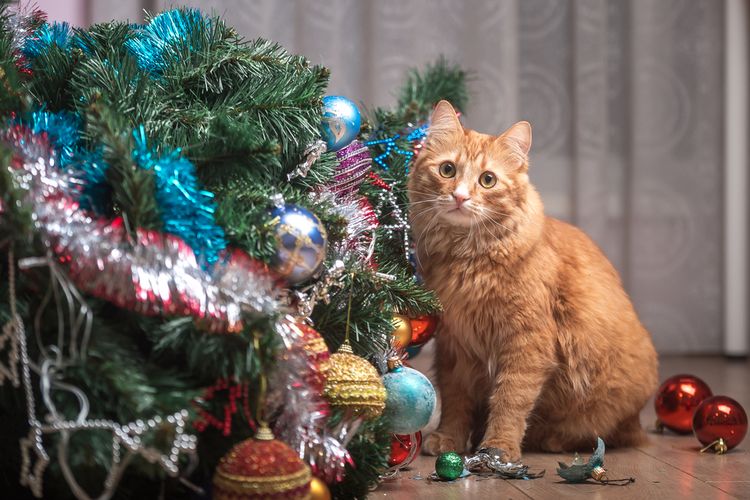 Ilustrasi kucing bermain di pohon Natal.