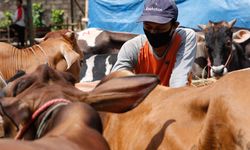 Pemprov Jabar Mulai Persiapkan Idul Adha di Tengah Pandemi Covid-19