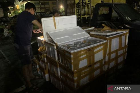 Indonesia's Police Tracing Coral Smugglers' Network in West Nusa Tenggara
