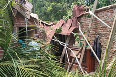 Cerita Ibu dan Bayi Selamat dari Reruntuhan Pohon Besar di Cirebon