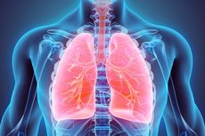 10 Penyebab Penyakit Paru-paru yang Sering Tidak Disadari