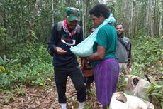 Kisah Tenaga Kesehatan di Pedalaman, Imunisasi Bayi di Tengah Hutan