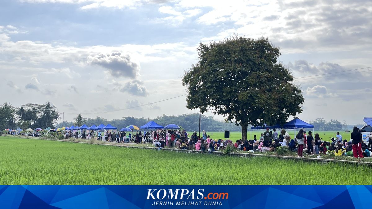 Cerita Pelabuhan Pangandaran yang Sepi Kapal, Justru Ramai Pemancing dan Penikmat Senja Tiap Sore