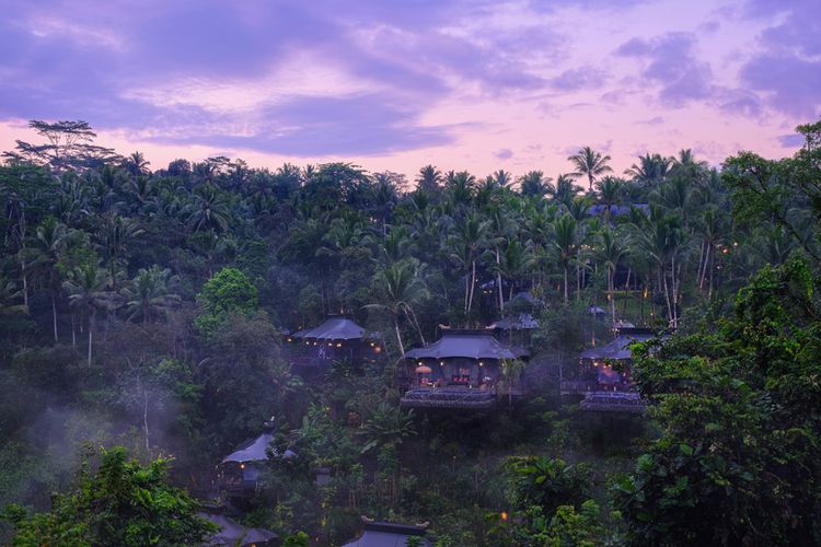 Capella Ubud berada di antara hutan hujan, sawah, dan Sungai Wos.