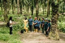 Berdayakan Petani Swadaya, Musim Mas Komitmen Keberlanjutan Industri Kelapa Sawit