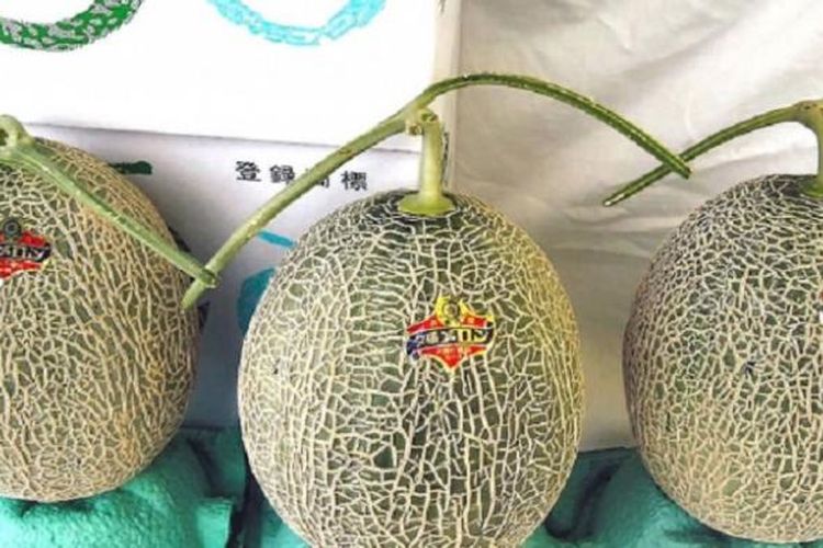 Melon Yubari, Jepang
