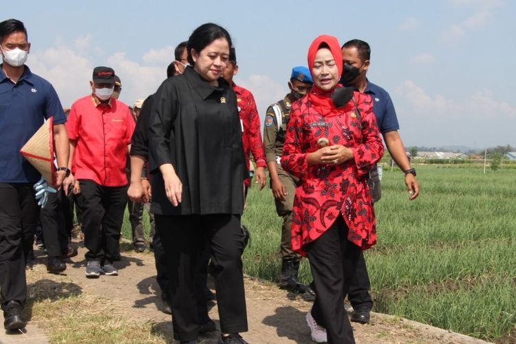Ketua DPR RI Puan Maharani bersama Bupati Brebes Idza Priyanti saat mengunjungi areal pertanian bawang merah di Kecamatan Larangan, Brebes, Jawa Tengah, Selasa (5/7/2022). (Dok. Humas Pemkab. Brebes)