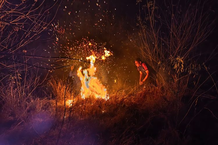 Penjelasan BMKG soal Cepatnya Penyebaran Api pada Sabana di Labuan Bajo