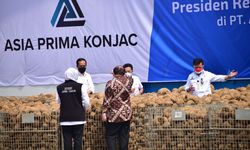 Kementan Klaim Produksi Pertanian Lokal Penuhi Kebutuhan Nasional dan Tekan Impor